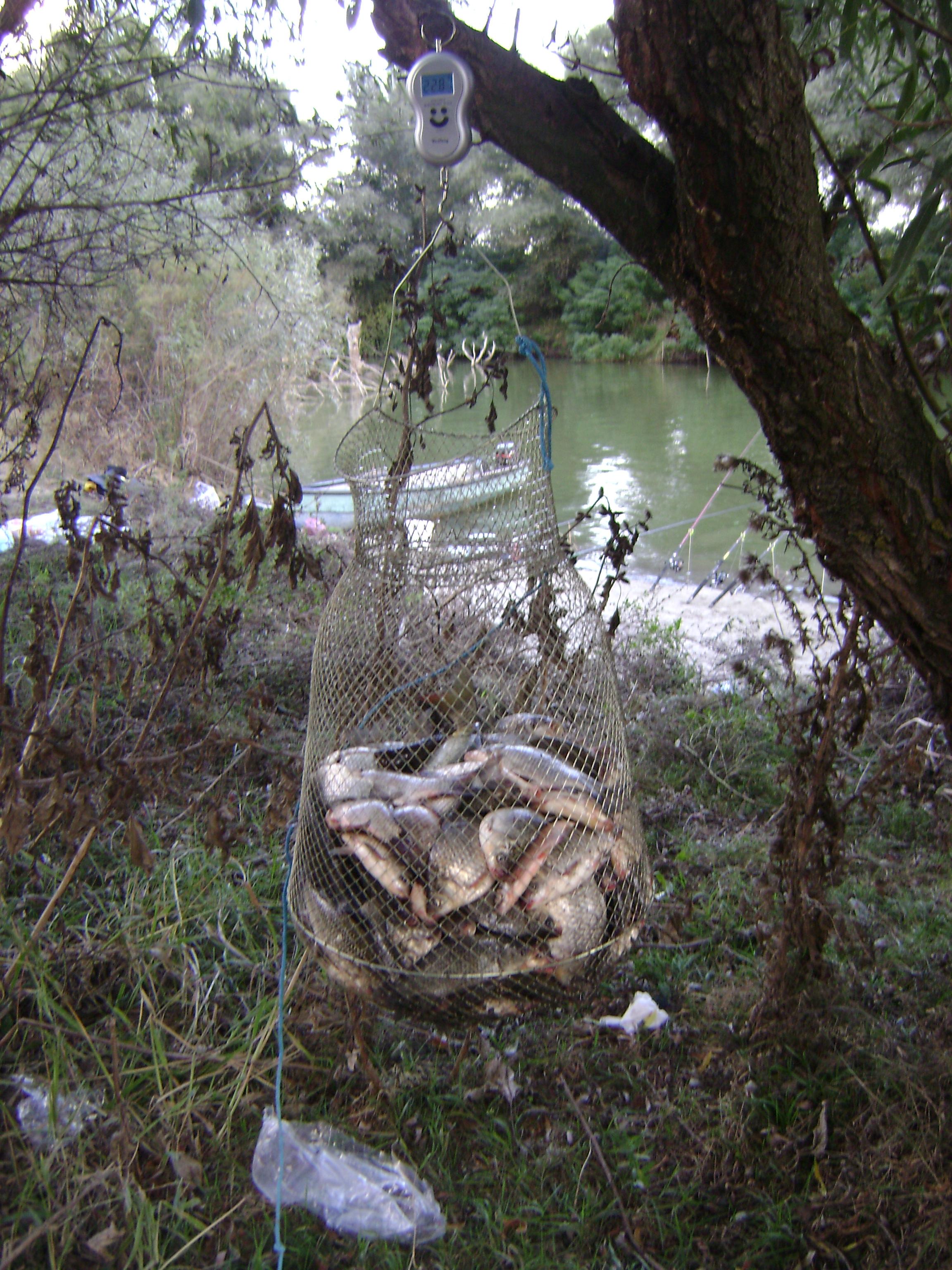 delta octombrie 2012 - delta octombrie 2012 050.JPG